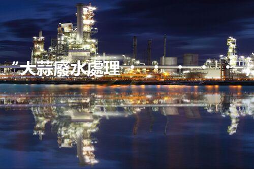 “大蒜廢水處理，綠色環(huán)保新篇章”